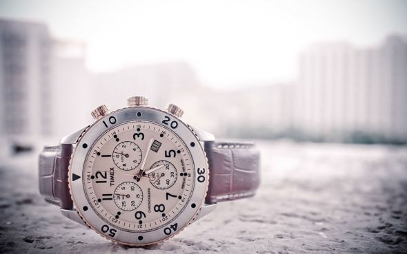 Fusce scelerisque augue